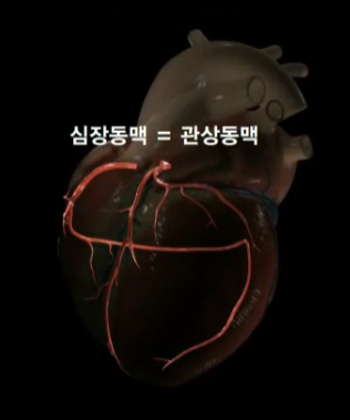 컴퓨터 그래픽으로 표현한 관상동맥