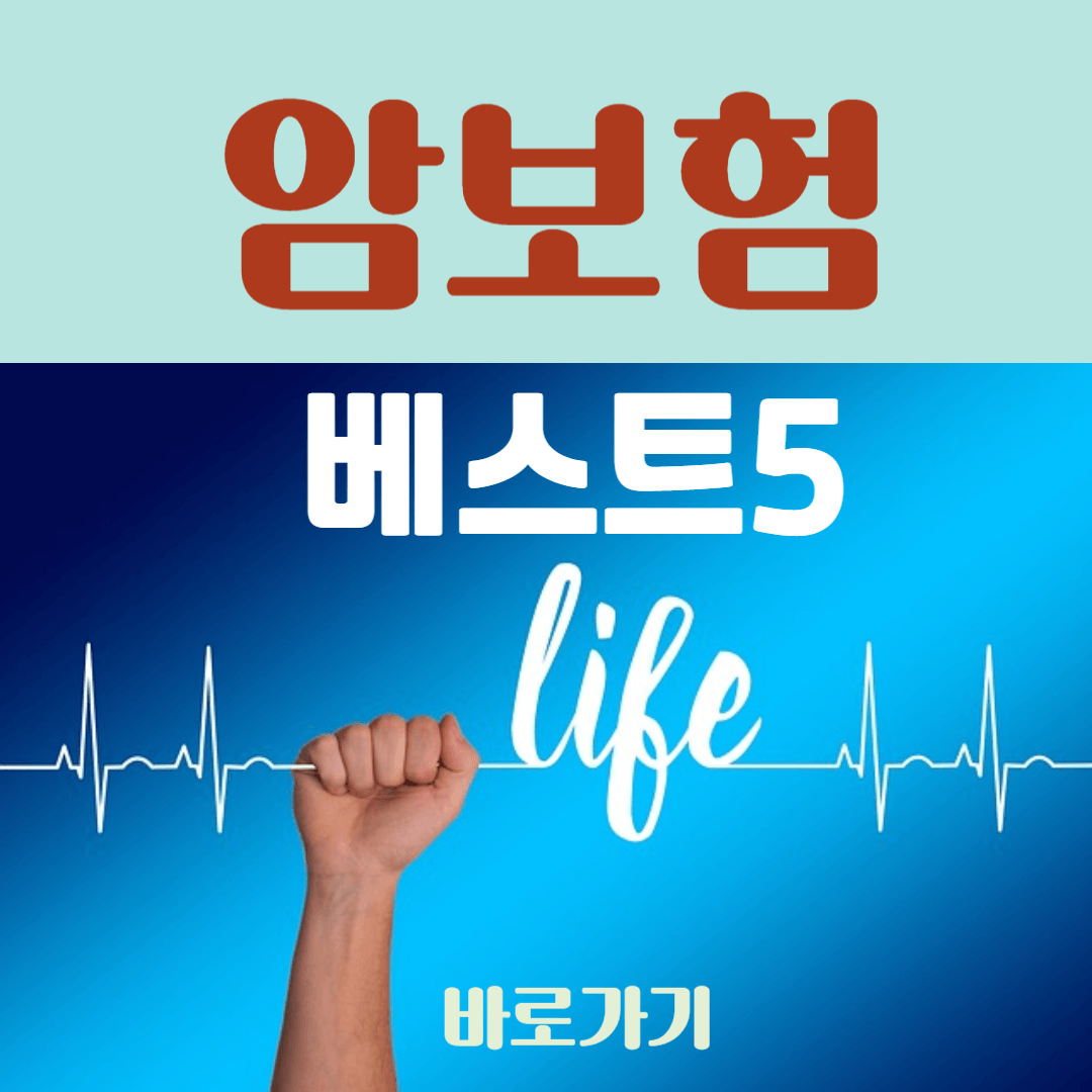 암보혐 비갱신형 추천 베스트5