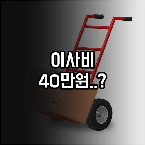 서울시 청년 이사비 지원 청년몽땅정보..