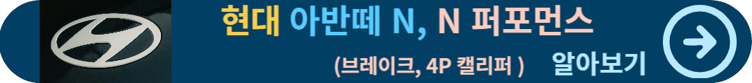 N 퍼포먼스