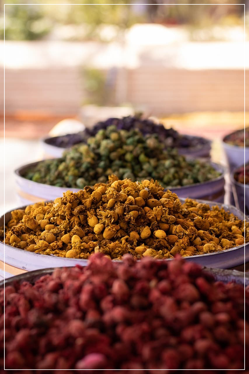 향기와 뇌 과학: 왜 특정 냄새는 과거의 감정을 즉시 소환할까?