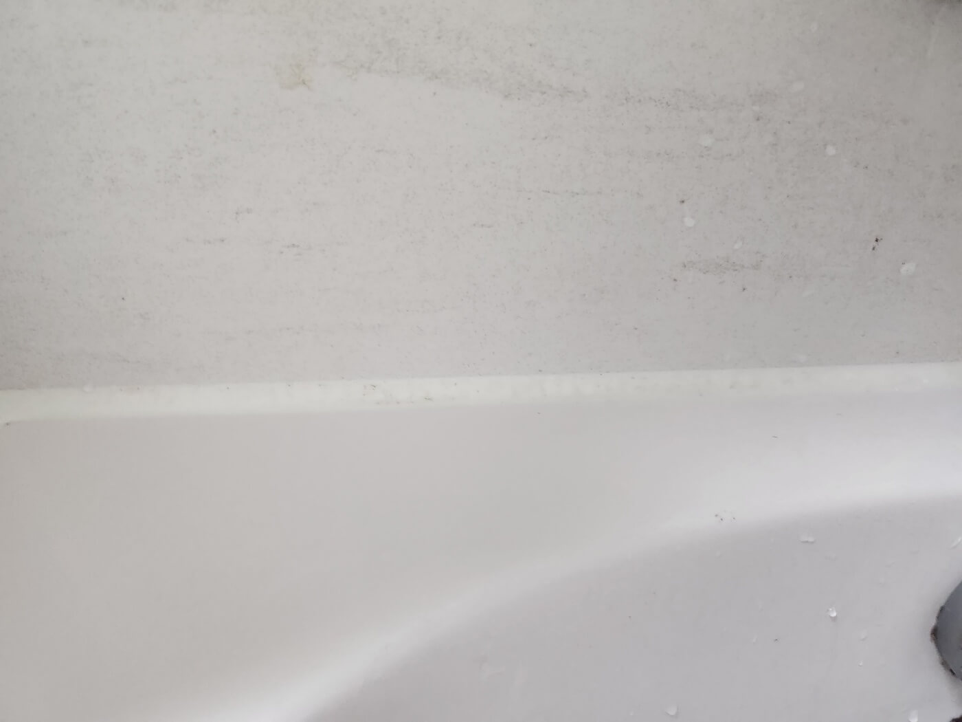 욕실곰팡이제거젤 에코후레쉬