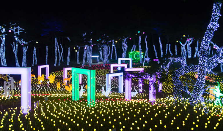 단양 수양개빛터널