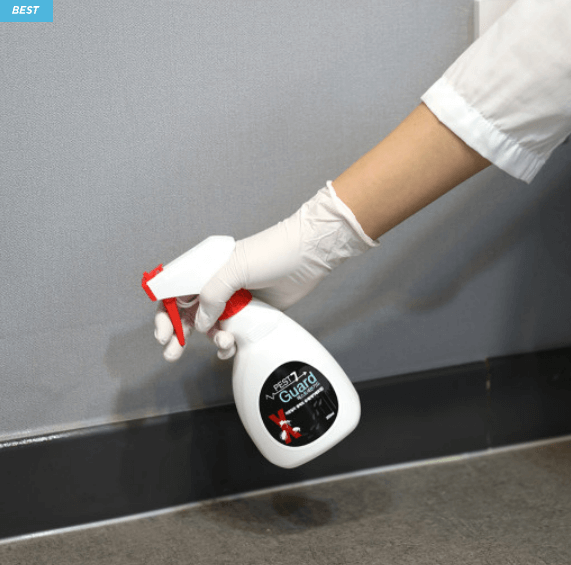 빈대 퇴치제(빈대 살충제) 순위 및 추천 TOP 5