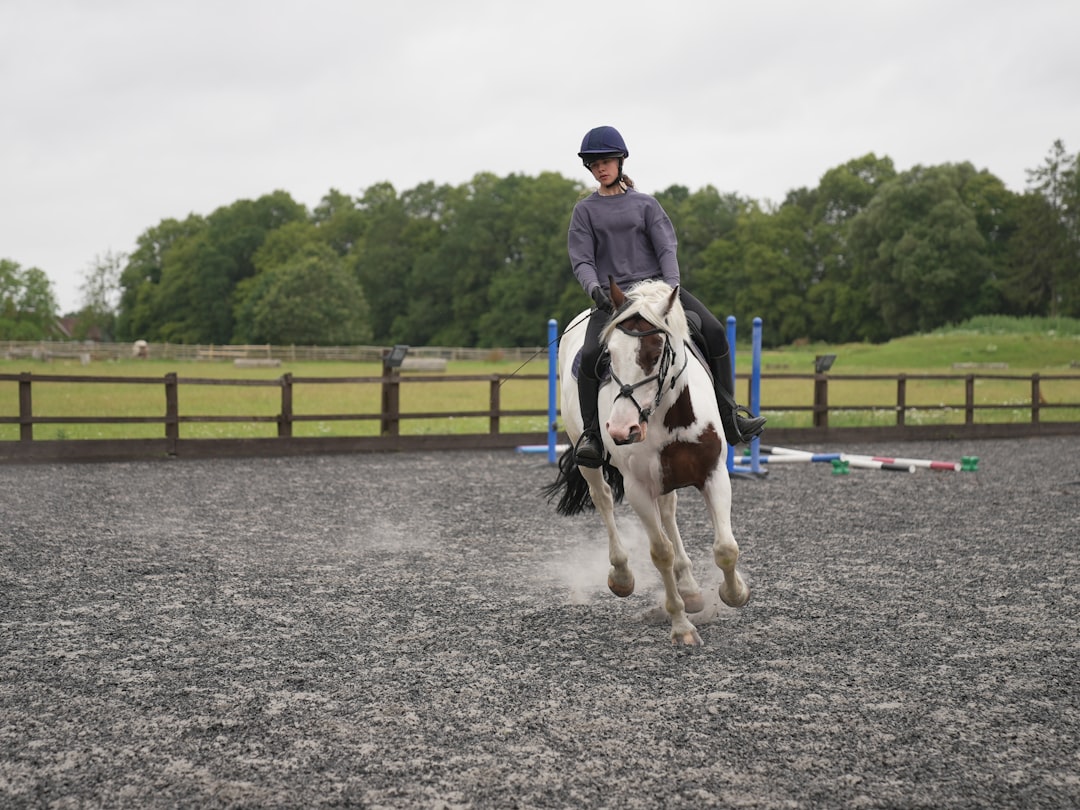 Trot
