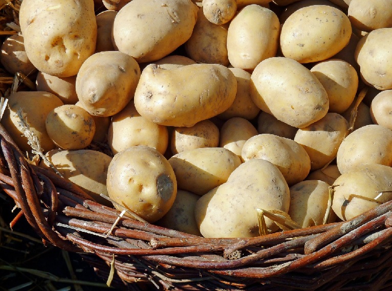 감자는 알칼리성 식품이다?