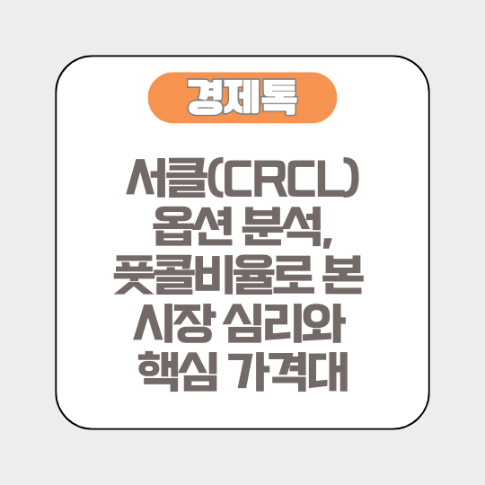 서클(CRCL) 옵션 분석, 풋콜비율로 본 시장 심리와 핵심 가격대