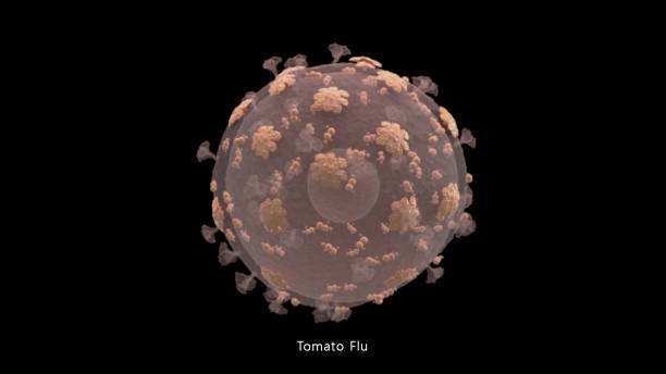 수족구 증상과 원인&amp;#44; 치료