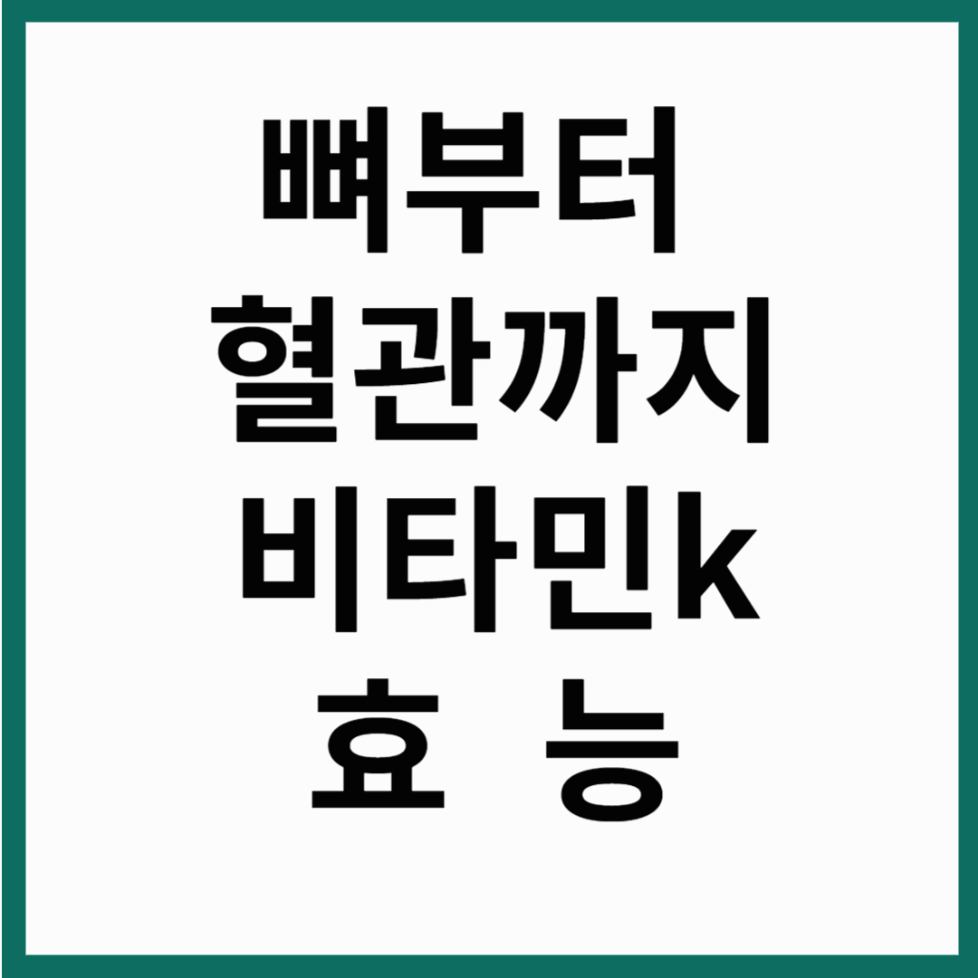비타민 K2의 효능과 약사 유튜버 추천 제품 총정리
