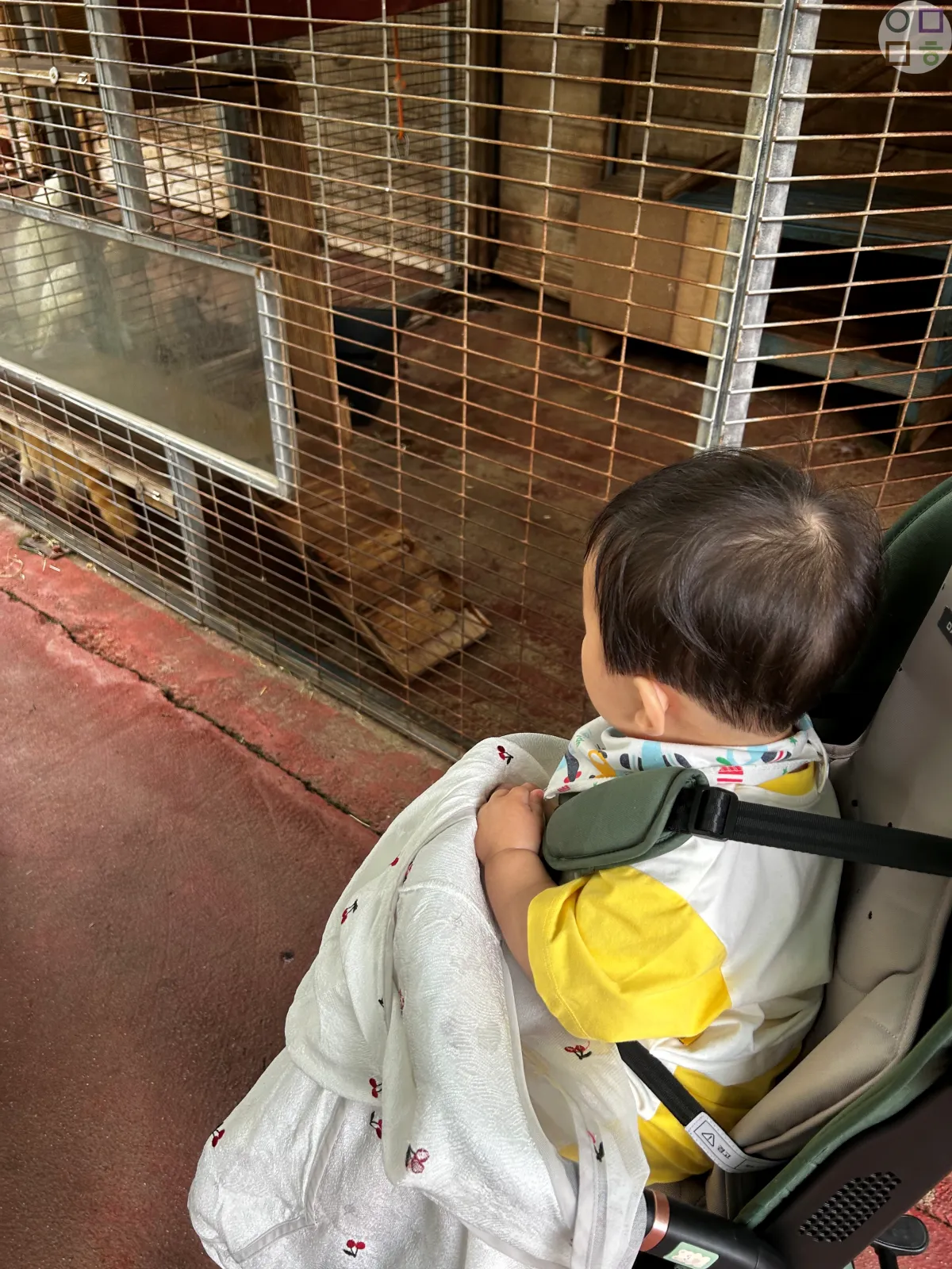 동물-구경하는-아기-신기하게-보는