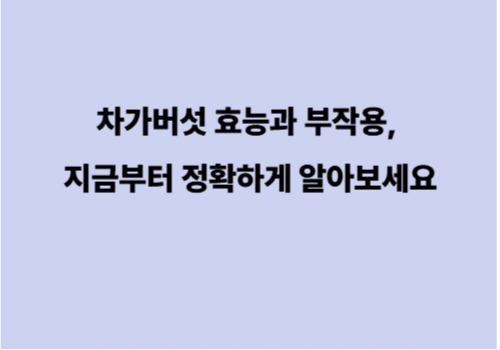 차가버섯 효능과 부작용, 지금부터 정확하게 알아보세요