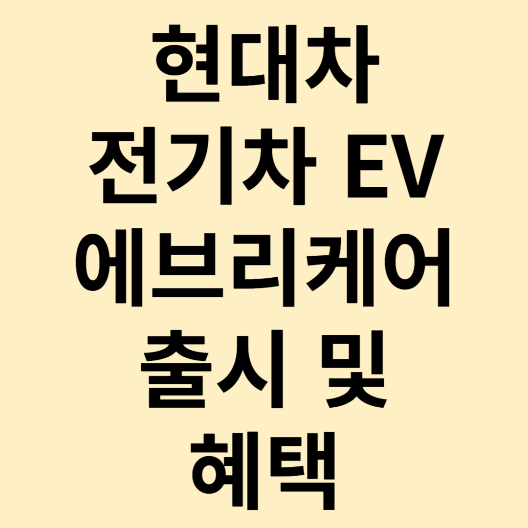 전기차 EV 에브리케어