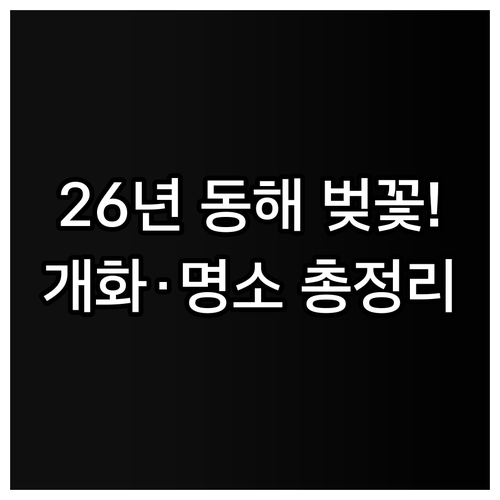 2026년 동해 벚꽃 개화 시기 및 ..
