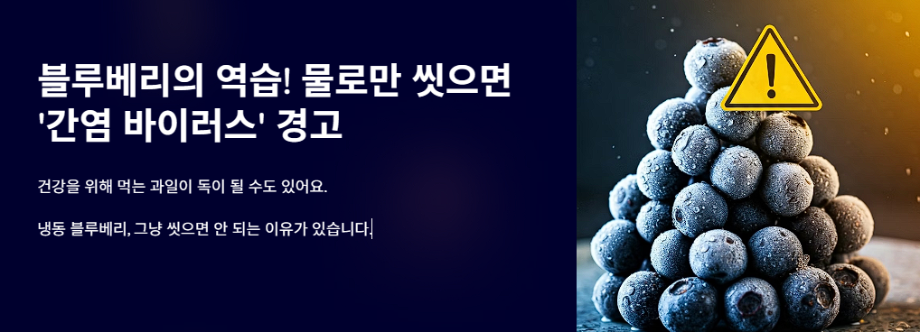 블루베리의 역습! 물로만 씻으면 '간염 바이러스' 경고