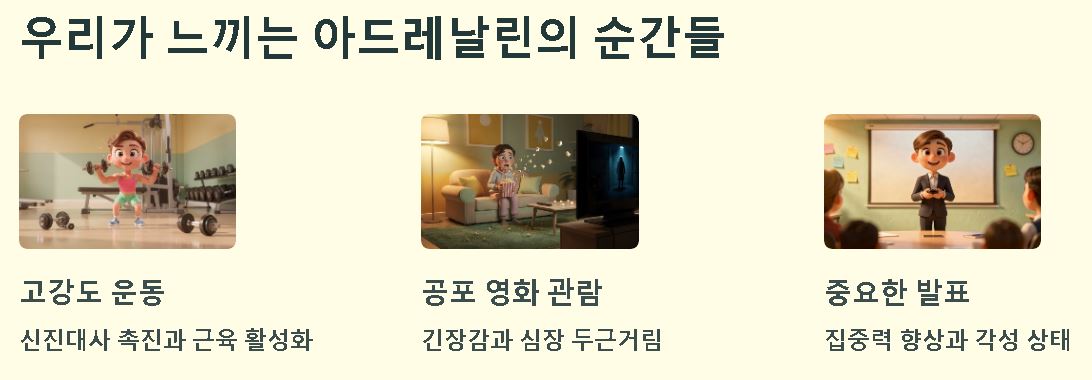 아드레날린 이란