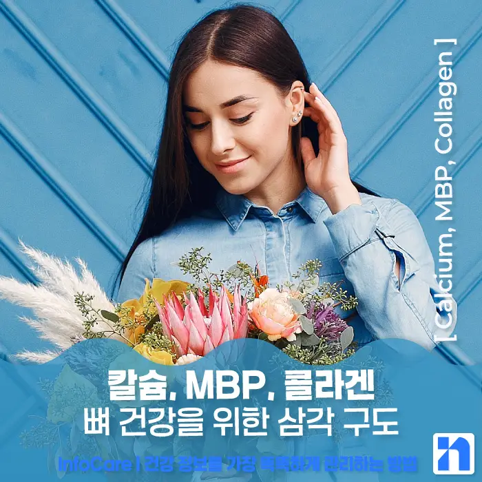 칼슘, MBP, 콜라겐 효능, 효과 비교