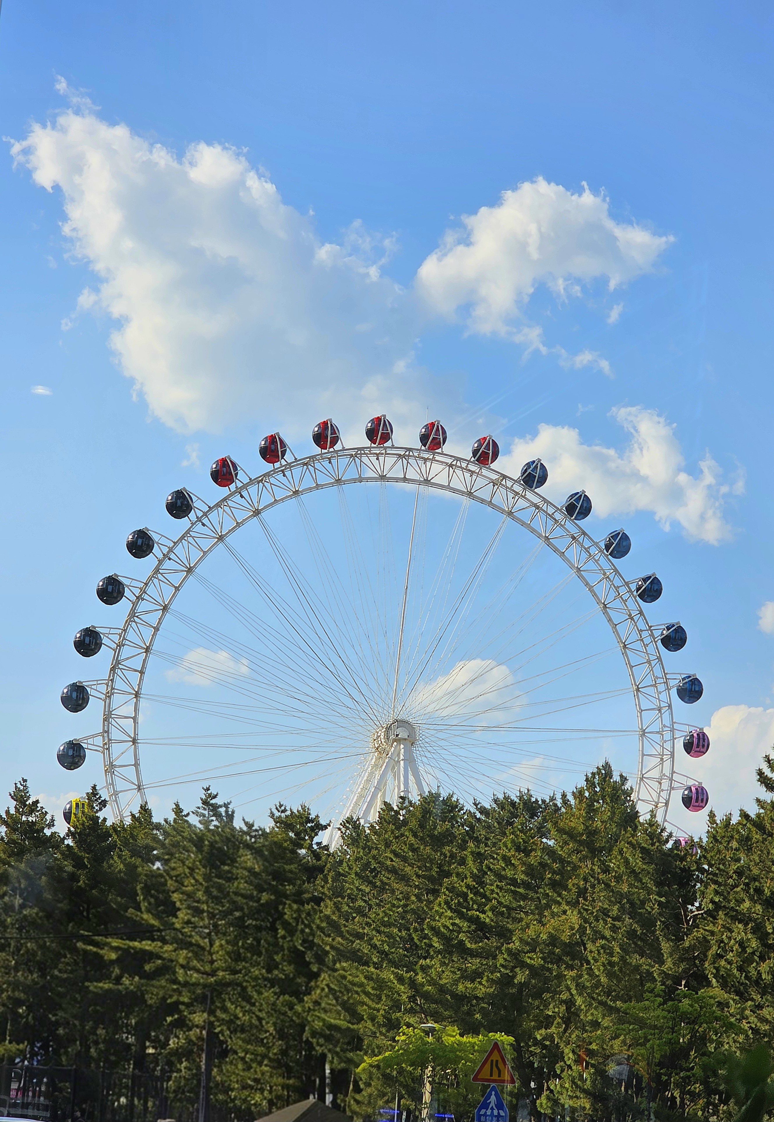 속초 애견동반 카페