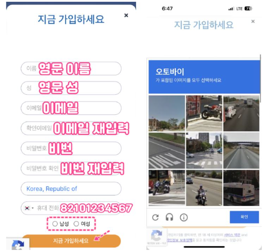 크루즈 여행