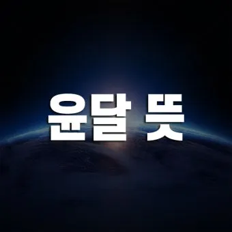 윤달은 몇년마다 오는지 윤년과 차이점 완전 정리_4