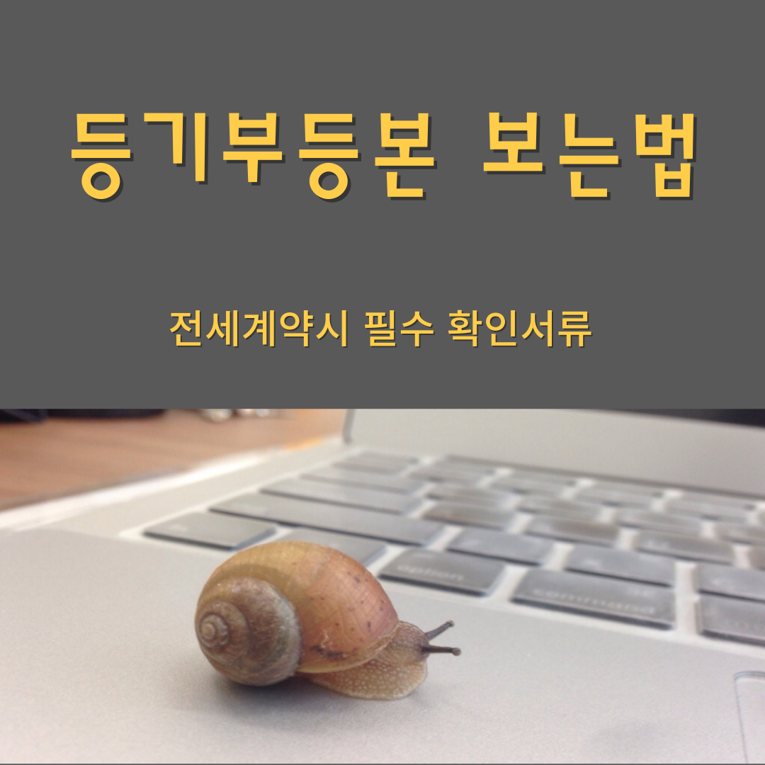 등기부등본 보는 법