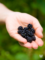 서비스 신청방법 3