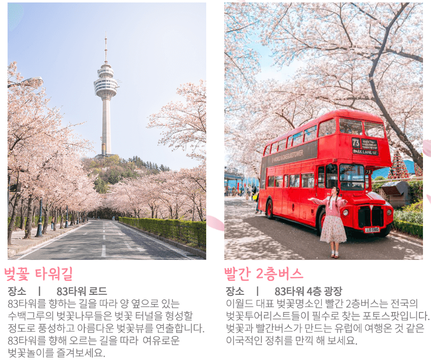 벚꽃명소