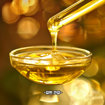 대마 종자유 먹는 방법