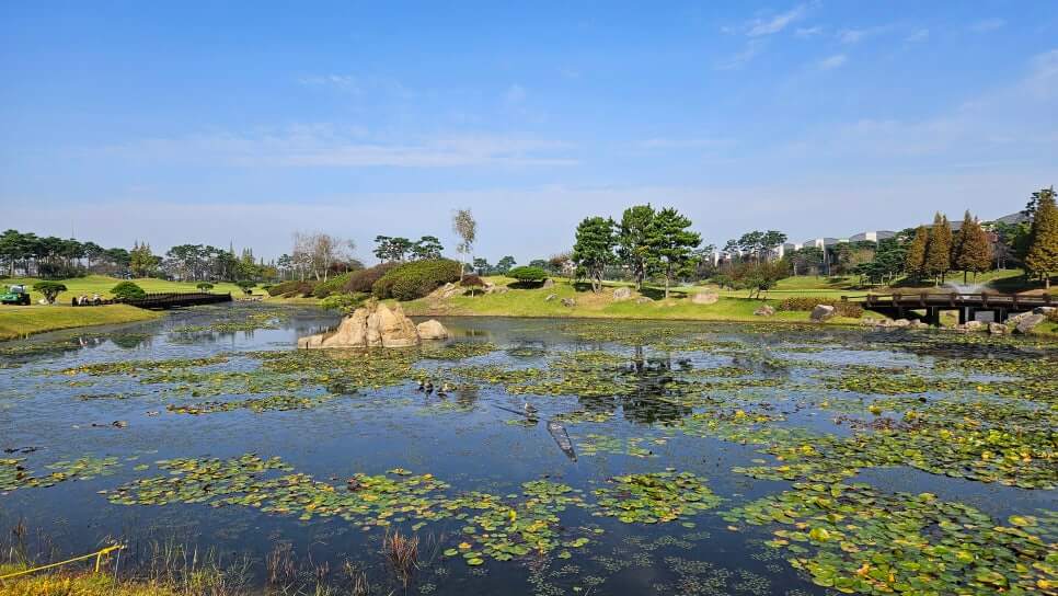 골프장 경험담 당진 파인스톤cc 대형 멋진 정원에서 환상의 골프 운동 