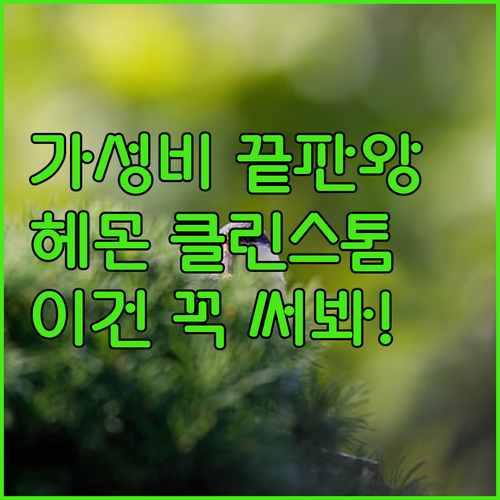 가성비 구강세정기 추천 헤몬 클린스톰..