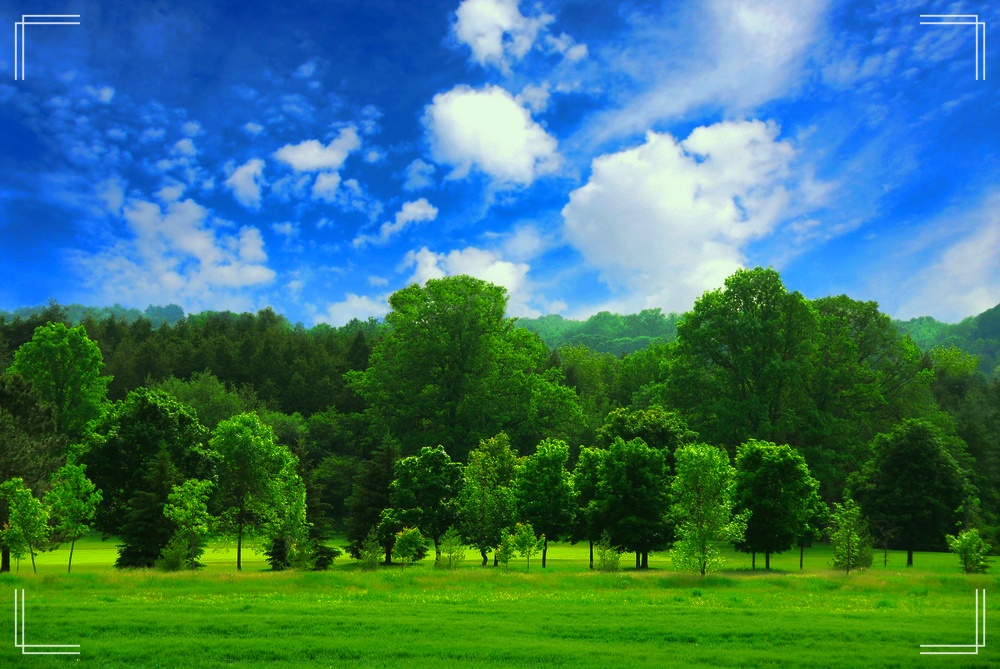 사진-편집-프로그램