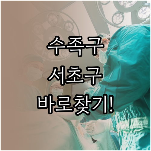 수족구 확진 후 서초구에서 간단하게 ..
