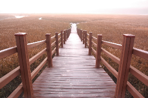 여수 가볼만한 곳 추천 관광지 여수 순천만습지