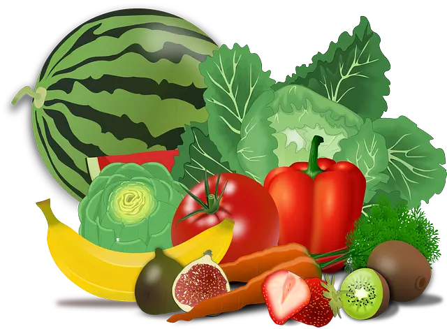 건강을 위한 3대 영양소