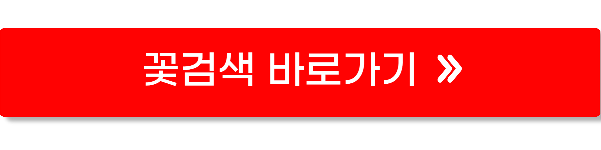 꽃검색1