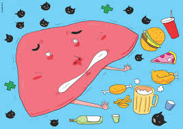 지방간 없애는 방법