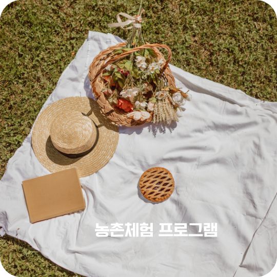 농촌체험 프로그램 선착순 예약하기