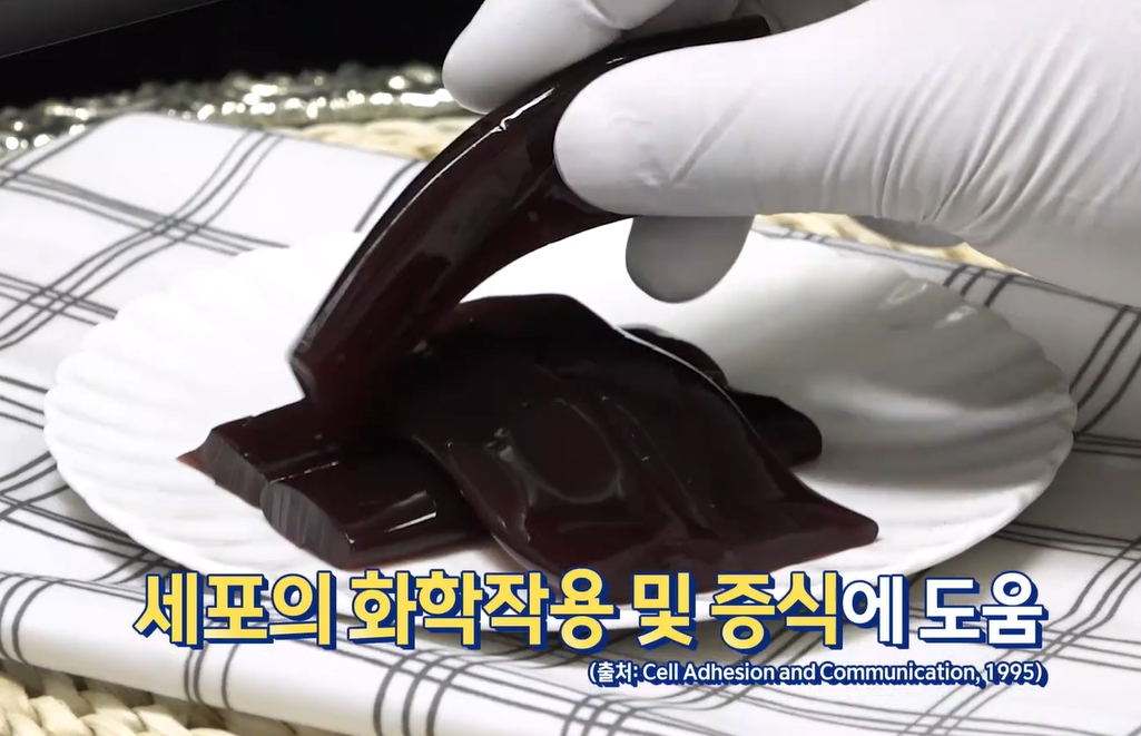 엘라스틴 효능