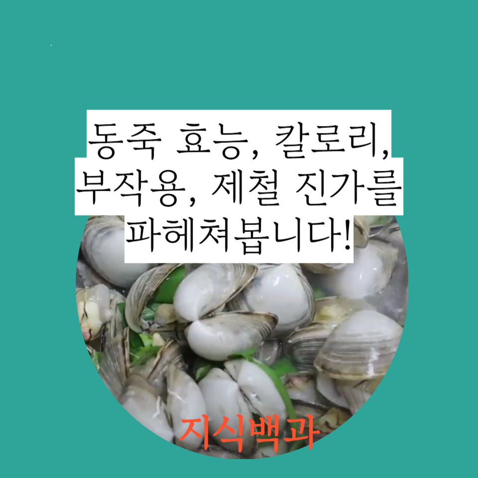 동죽 효능, 칼로리, 부작용, 제철 진가를 파헤쳐봅니다!