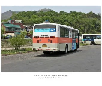 대구 시내버스 첫차시간 노선별 운행정보와 이용 꿀팁_7