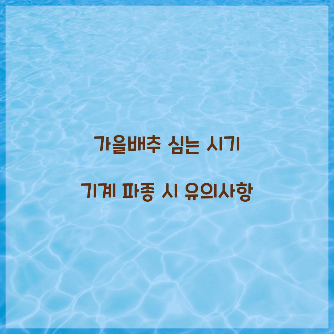 가을배추 심는 시기 기계 파종 시 유의사항