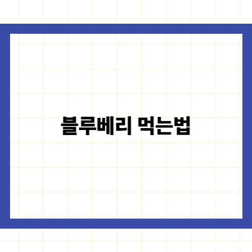 블루베리 먹는법