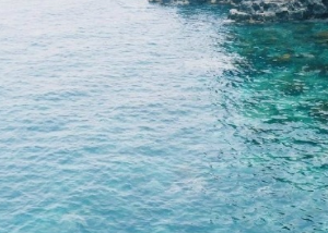 동물꿈,물건꿈,물꿈,구렁이,뱀꿈해몽 모음