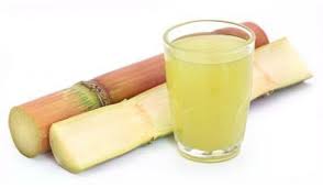 폴리코사놀 효능 부작용 (3주 섭취 후기)