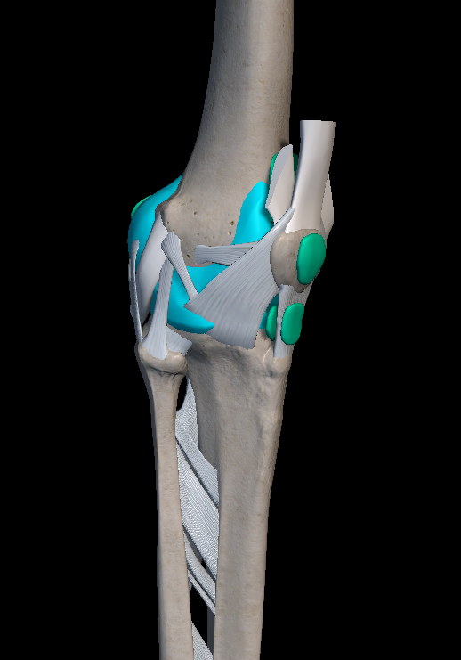 무릎 연골연화증 증상