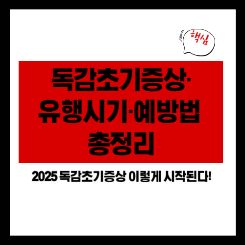 독감초기증상&middot;유행시기&middot;예방법 총정리 (2025년)
