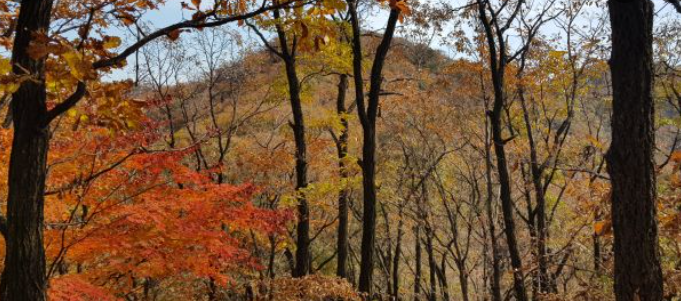 2025 충청도 단풍 명산 코스 추천 ❘ 월악산·계룡산·속리산 절정 시기