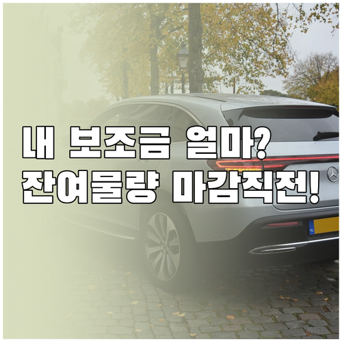 전기차 보조금 확정 금액 조회와 지자..