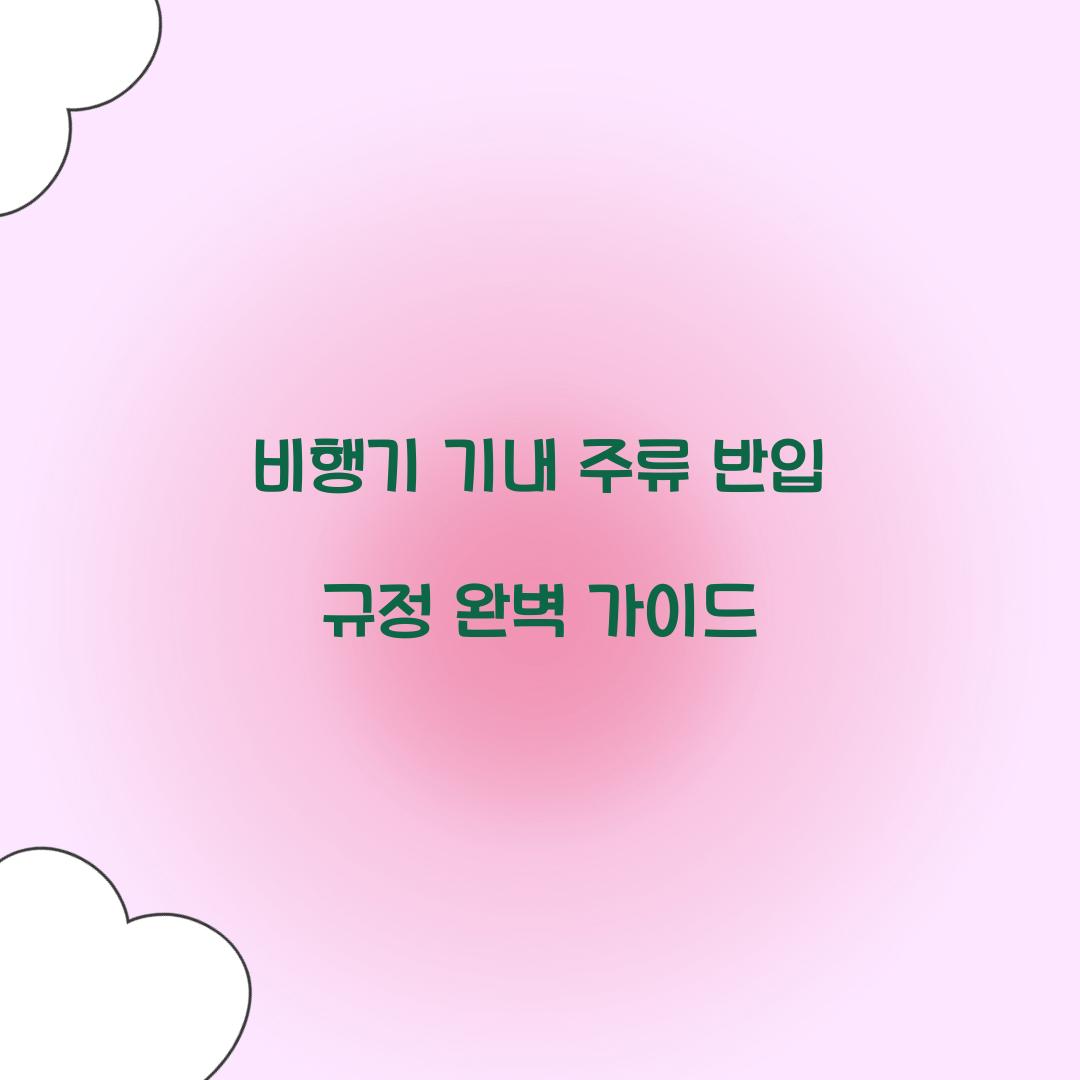 비행기 기내 주류 반입