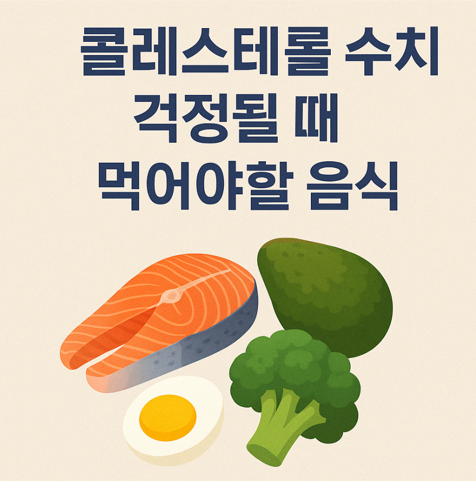 콜레스테롤