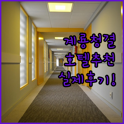 계룡시 청결한 호텔 추천 비바체부터 ..